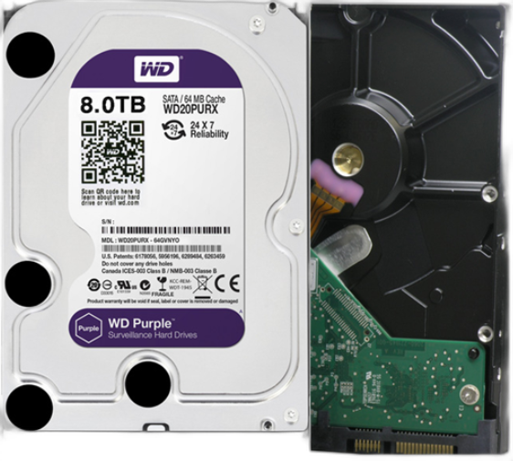 WD PURPLE 8T